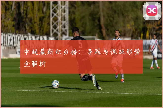 中超最新积分榜：争冠与保级形势全解析