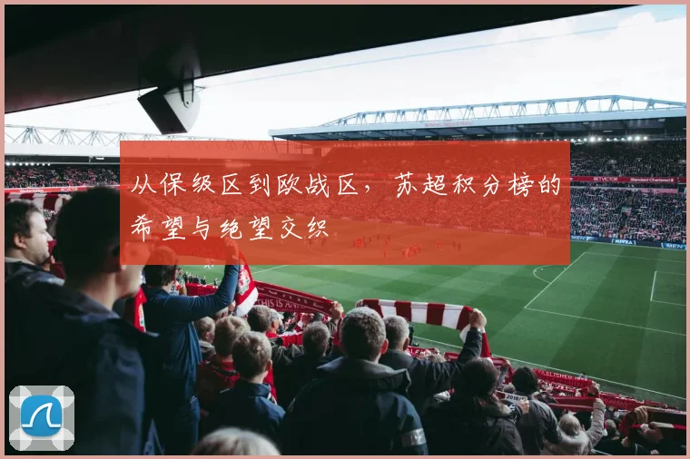 从保级区到欧战区，苏超积分榜的希望与绝望交织